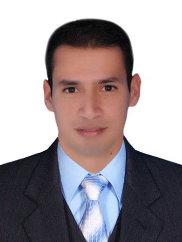 Diseñador de páginas web profesional