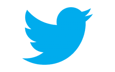 porque no se ve el logo de twitter en mi canal de youtube