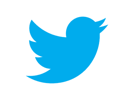 porque no se ve el logo de twitter en mi canal de youtube