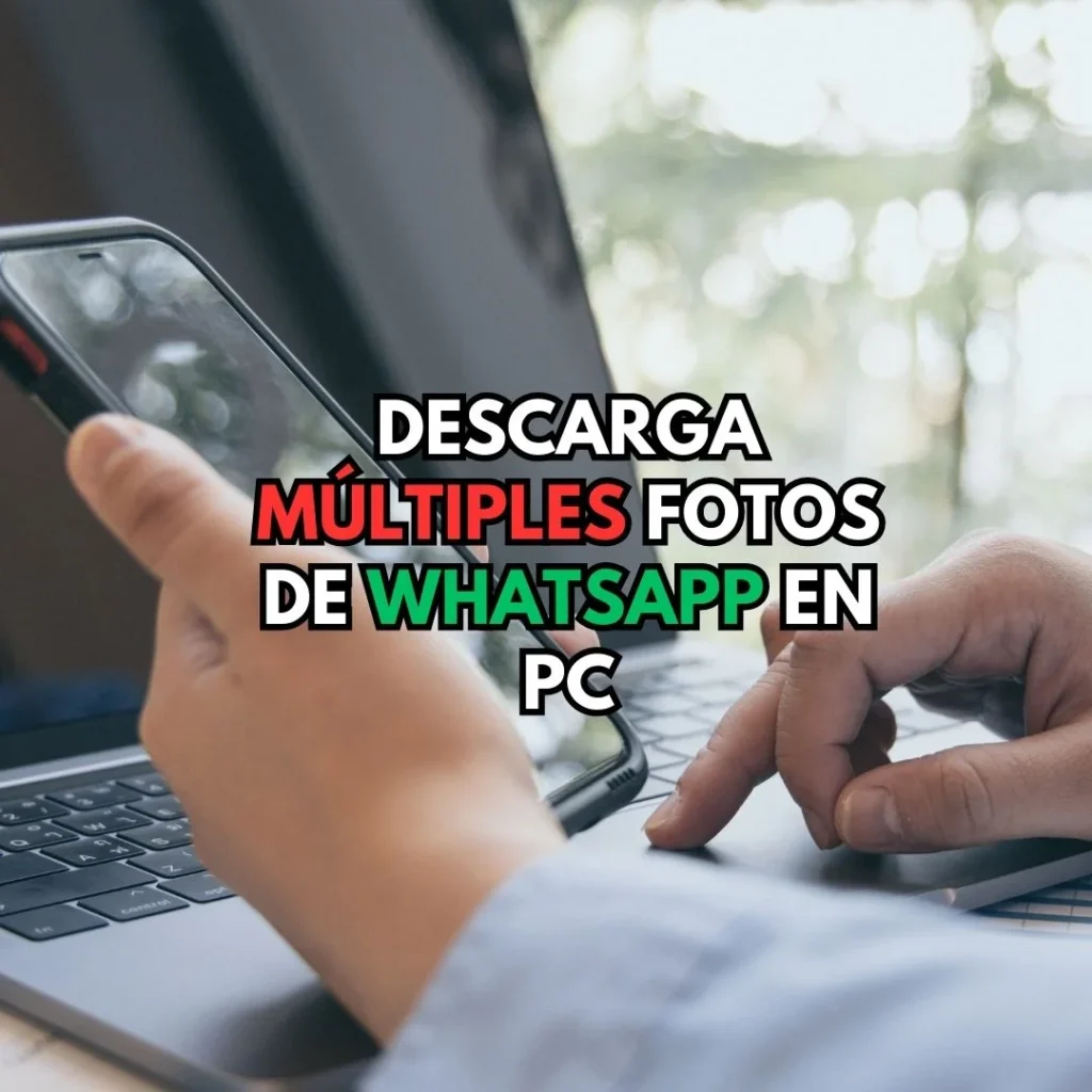 Desata el poder de la descarga masiva: Aprende a obtener múltiples imágenes de WhatsApp en tu PC