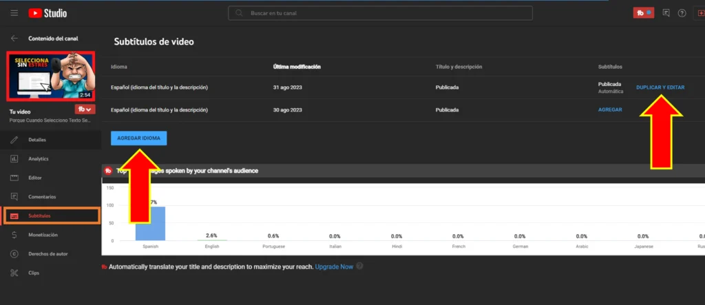 Gestión de Subtítulos en el Editor de Vídeo